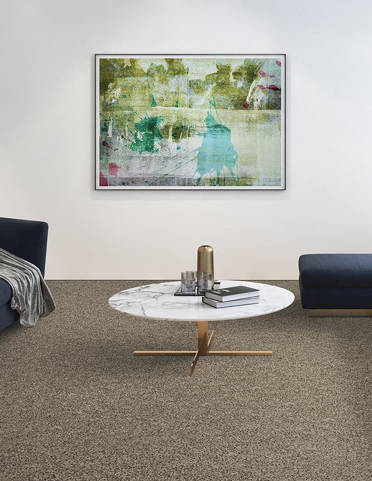 Mohawk Carpet in Living Room
