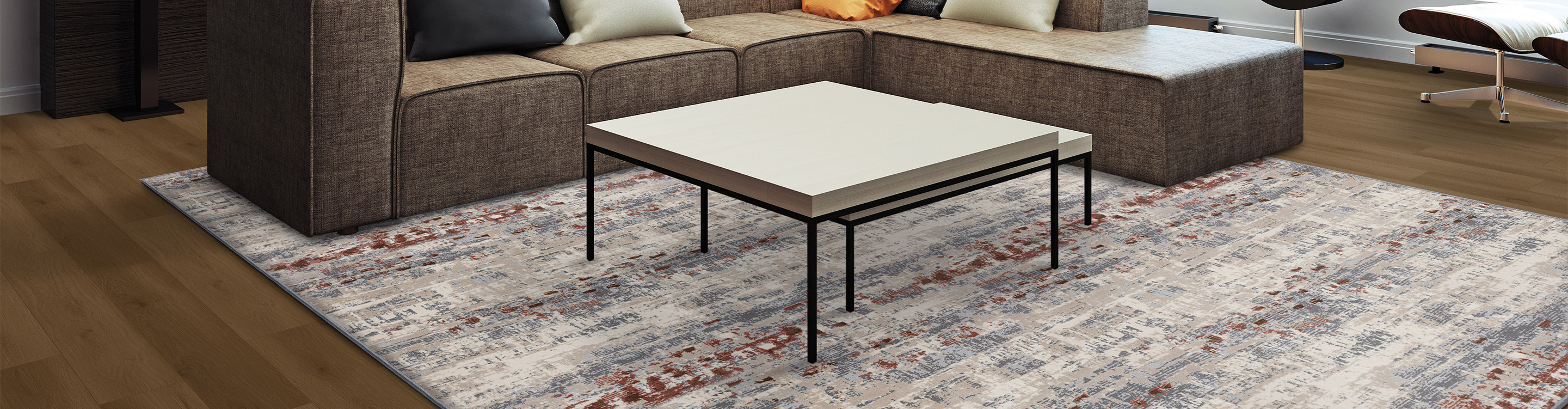 Area Rug in living room