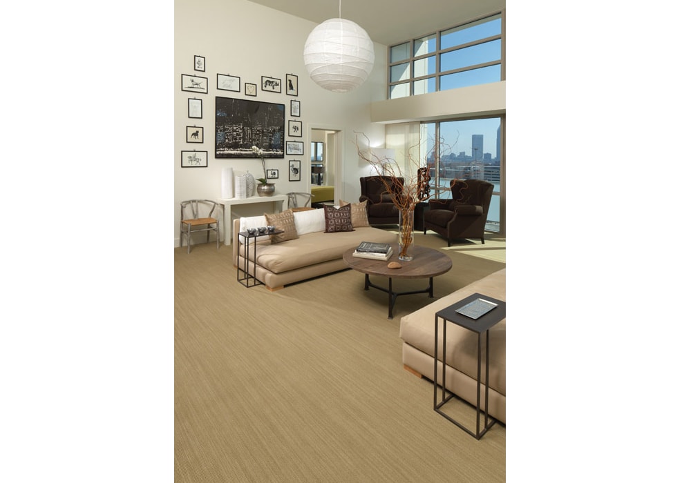 Karastan carpet variegato